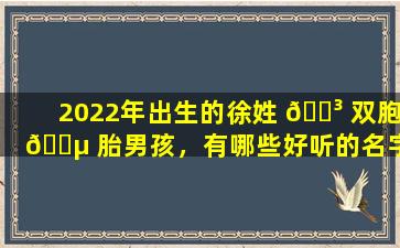 2022年出生的徐姓 🌳 双胞 🌵 胎男孩，有哪些好听的名字